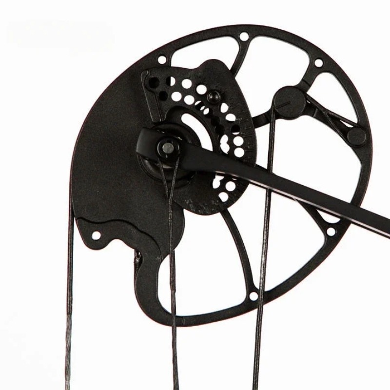 Accmos tiro con arco Dragon X8 - Outdoor Sport Drawing reseña y precio