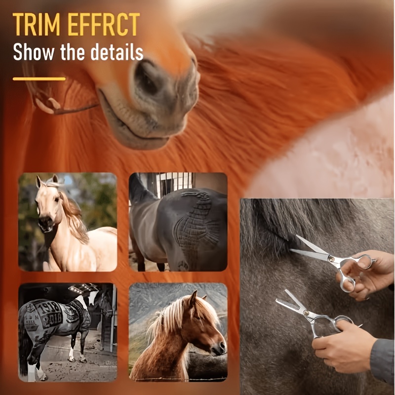 Juego de Herramientas para el  - Grooming Kit Horse reseña y precio
