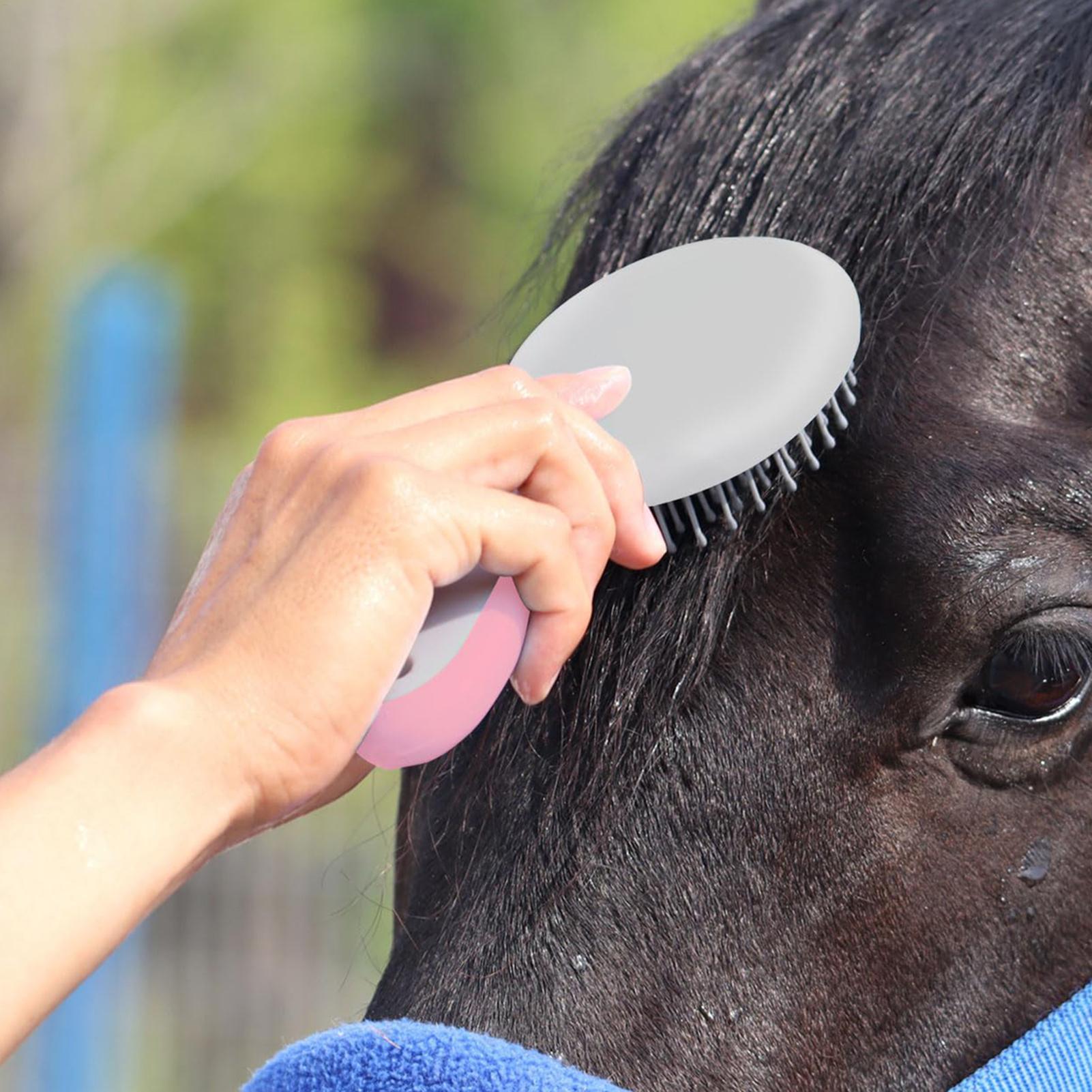 Cepillo para Caballos para Des - Grooming Kit Horse reseña y precio