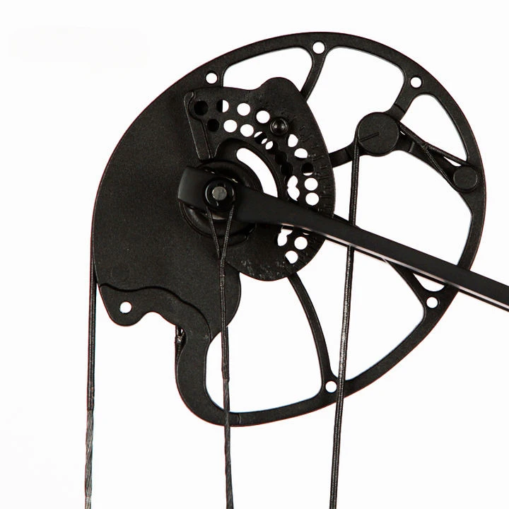 Accmos tiro con arco Dragon X8 - Outdoor Sport Drawing reseña y precio