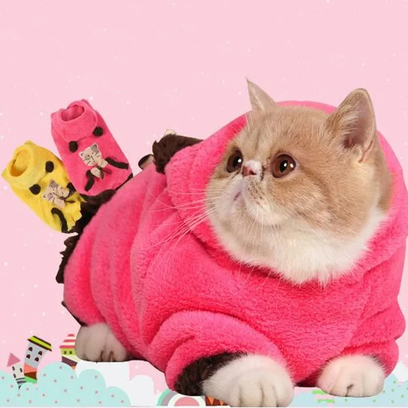 Ropa para gatos, Kit de Festiv - Outdoor Sport Festival reseña y precio